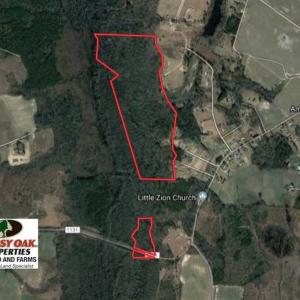 Photo of SOLD!!  115 Acres of Hunting Land For Sale in Robeson County NC!