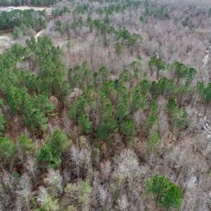 Photo of SOLD!!  115 Acres of Hunting Land For Sale in Robeson County NC!