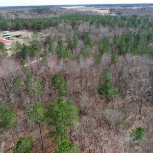 Photo of SOLD!!  115 Acres of Hunting Land For Sale in Robeson County NC!