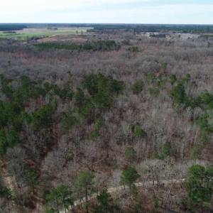 Photo of SOLD!!  115 Acres of Hunting Land For Sale in Robeson County NC!
