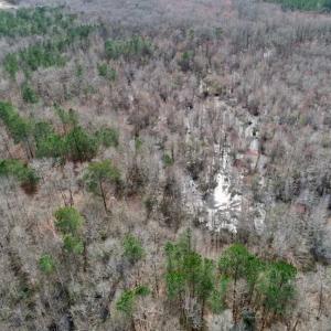 Photo of SOLD!!  115 Acres of Hunting Land For Sale in Robeson County NC!