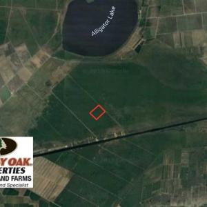 Photo of SOLD!!  120 Acres of Bear Hunting Land For Sale in Hyde County NC!