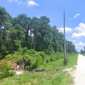 Photo of SOLD!!  120 Acres of Bear Hunting Land For Sale in Hyde County NC!