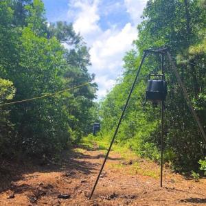 Photo of SOLD!!  120 Acres of Bear Hunting Land For Sale in Hyde County NC!