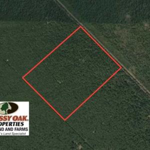 Photo of SOLD!!  120 Acres of Bear Hunting Land For Sale in Hyde County NC!