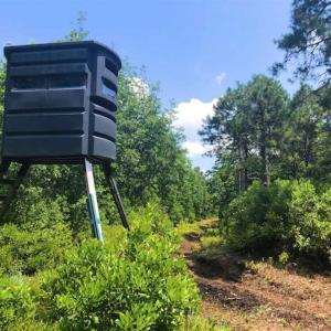 Photo of SOLD!!  120 Acres of Bear Hunting Land For Sale in Hyde County NC!