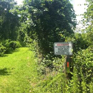 Photo of SOLD!!  120 Acres of Bear Hunting Land For Sale in Hyde County NC!