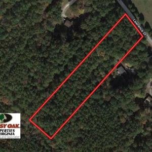 Photo of SOLD!!  3 Acres of Residential Land For Sale in Accomack County VA!