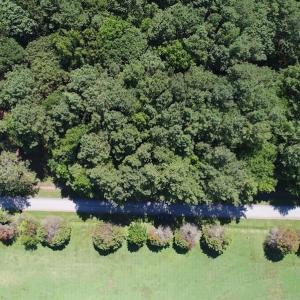Photo of SOLD!!  3 Acres of Residential Land For Sale in Accomack County VA!