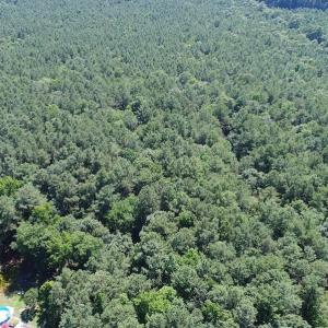 Photo of SOLD!!  3 Acres of Residential Land For Sale in Accomack County VA!