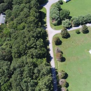 Photo of SOLD!!  3 Acres of Residential Land For Sale in Accomack County VA!