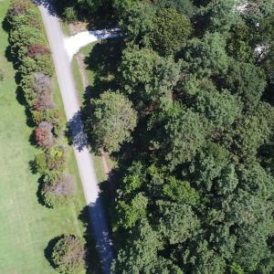 Photo of SOLD!!  3 Acres of Residential Land For Sale in Accomack County VA!