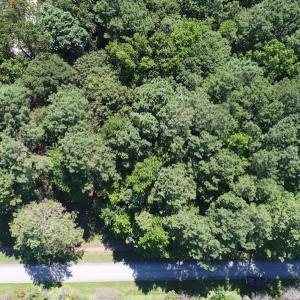 Photo of SOLD!!  3 Acres of Residential Land For Sale in Accomack County VA!