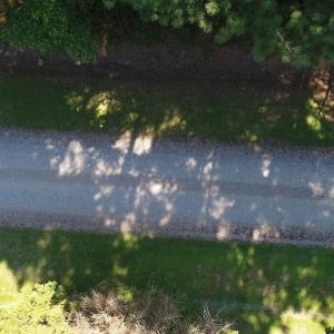 Photo of SOLD!!  3 Acres of Residential Land For Sale in Accomack County VA!