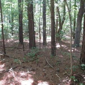 Photo of SOLD!!  3 Acres of Residential Land For Sale in Accomack County VA!