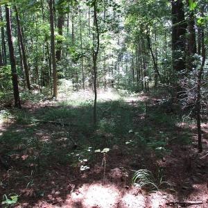 Photo of SOLD!!  3 Acres of Residential Land For Sale in Accomack County VA!