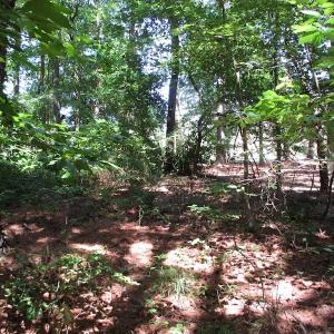 Photo of SOLD!!  3 Acres of Residential Land For Sale in Accomack County VA!