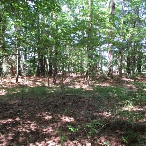 Photo of SOLD!!  3 Acres of Residential Land For Sale in Accomack County VA!