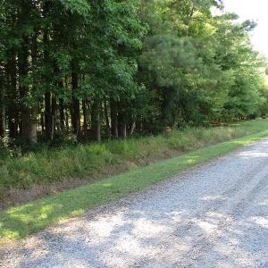 Photo of SOLD!!  3 Acres of Residential Land For Sale in Accomack County VA!