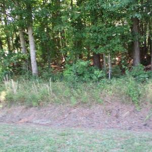 Photo of SOLD!!  3 Acres of Residential Land For Sale in Accomack County VA!