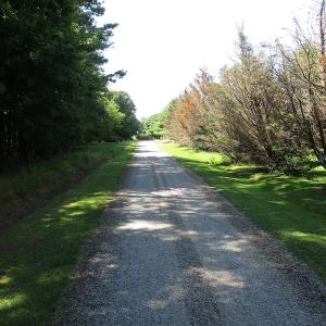 Photo of SOLD!!  3 Acres of Residential Land For Sale in Accomack County VA!