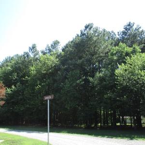 Photo of SOLD!!  3 Acres of Residential Land For Sale in Accomack County VA!