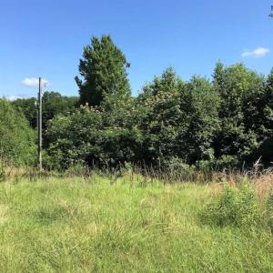 Photo of SOLD!! 8.33 Acres of  Hunting  Land For Sale in Halifax County VA!