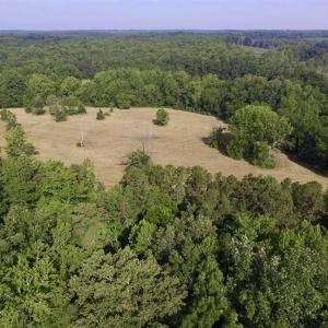 Photo of UNDER CONTRACT!!  125 Acres of Farmland For Sale in Charlotte County VA!