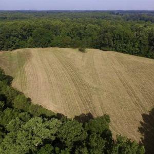 Photo of UNDER CONTRACT!!  125 Acres of Farmland For Sale in Charlotte County VA!