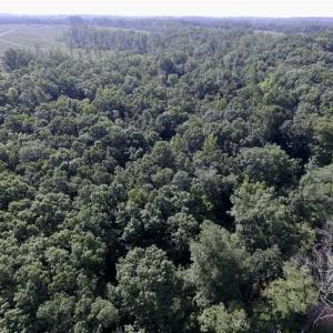 Photo of UNDER CONTRACT!!  125 Acres of Farmland For Sale in Charlotte County VA!