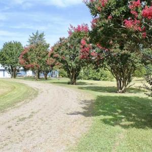 Photo of UNDER CONTRACT!!  125 Acres of Farmland For Sale in Charlotte County VA!