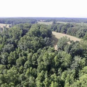 Photo of UNDER CONTRACT!!  125 Acres of Farmland For Sale in Charlotte County VA!