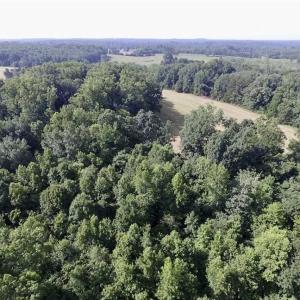 Photo of UNDER CONTRACT!!  125 Acres of Farmland For Sale in Charlotte County VA!