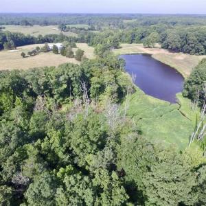 Photo of UNDER CONTRACT!!  125 Acres of Farmland For Sale in Charlotte County VA!