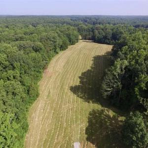 Photo of UNDER CONTRACT!!  125 Acres of Farmland For Sale in Charlotte County VA!