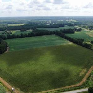 Photo of SOLD!!  38 Acres of Farm Land For Sale in Columbus County NC!