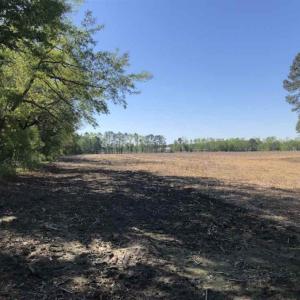 Photo of SOLD!!  38 Acres of Farm Land For Sale in Columbus County NC!