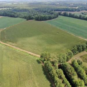 Photo of SOLD!!  38 Acres of Farm Land For Sale in Columbus County NC!