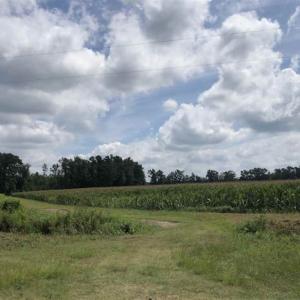 Photo of SOLD!!  38 Acres of Farm Land For Sale in Columbus County NC!