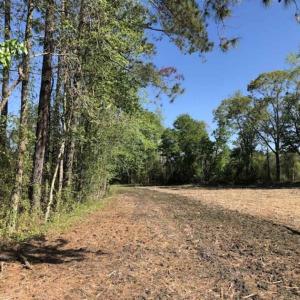 Photo of SOLD!!  38 Acres of Farm Land For Sale in Columbus County NC!
