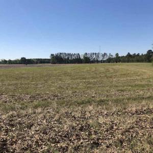Photo of SOLD!!  38 Acres of Farm Land For Sale in Columbus County NC!