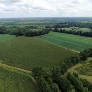 Photo of SOLD!!  38 Acres of Farm Land For Sale in Columbus County NC!