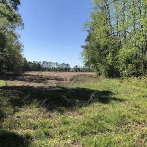 Photo of SOLD!!  38 Acres of Farm Land For Sale in Columbus County NC!