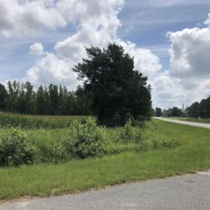 Photo of SOLD!!  38 Acres of Farm Land For Sale in Columbus County NC!