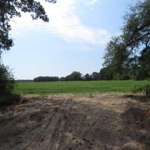 Photo of SOLD!!  70 Acres of Farm and Timber Land For Sale in Scotland County NC!