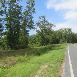 Photo of SOLD!!  70 Acres of Farm and Timber Land For Sale in Scotland County NC!