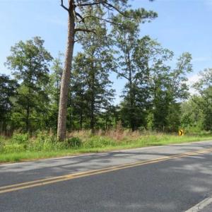 Photo of SOLD!!  70 Acres of Farm and Timber Land For Sale in Scotland County NC!