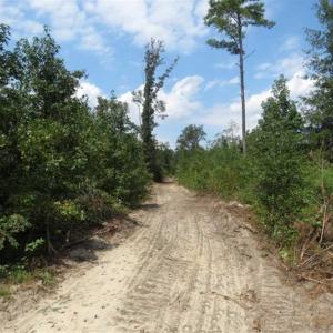 Photo of SOLD!!  70 Acres of Farm and Timber Land For Sale in Scotland County NC!