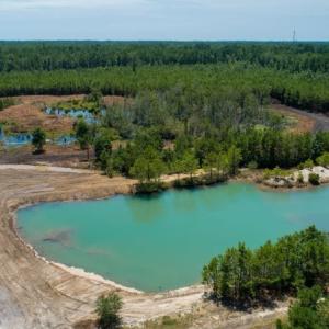 Photo of SOLD!  103.88 Acres of Hunting and Timber Land For Sale in Brunswick County NC!