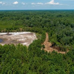 Photo of SOLD!  103.88 Acres of Hunting and Timber Land For Sale in Brunswick County NC!